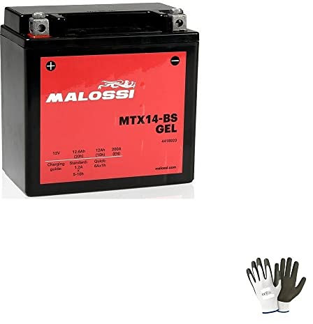 Kompatibel mit Piaggio Vespa GTS Super (M45200) 300 von 2008 bis 2008 Batterie bereits gebrauchsfertig Malossi MTX14-BS aus aktivem Gel, 12 A 12 V