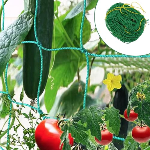Saituo Home Premium Rankgitter für Kletterpflanzen mit Großer Maschenweite, Rankgitter für Gurken, Rankhilfe für Gurken, Tomaten, Kletterpflanzen, 3,6 x 1,8m, Rankhilfe Netz für Garten und Gewächshaus