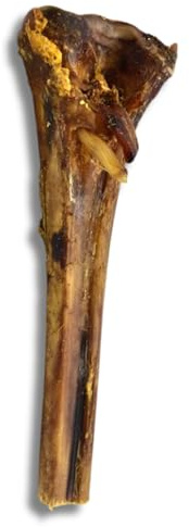 Ostrich Metatarsus Bones Dog Chew