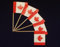Everflag Zahnstocher : Kanada 50er Packung