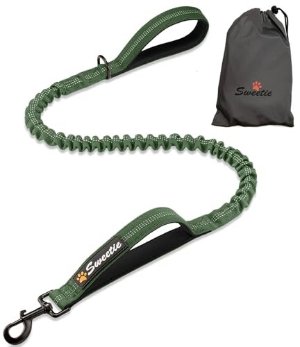 Sweetie Bungee Dog Lead - Shock Absorbing Leash that Softens Pulls & Stops – Neoprene Padded Loop & Traffic Handles for Extra Comfort - Reflective for Safer Night Walking. Green