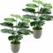 AIVORIUY Plantas Artificiales Decorativas con Maceta, 40cm Realistas Verde Falso Monstera Arbol Palmera Plástico para la Decoración Moderna de la Oficina Salón Hogar Dormitorio Interior Exterior