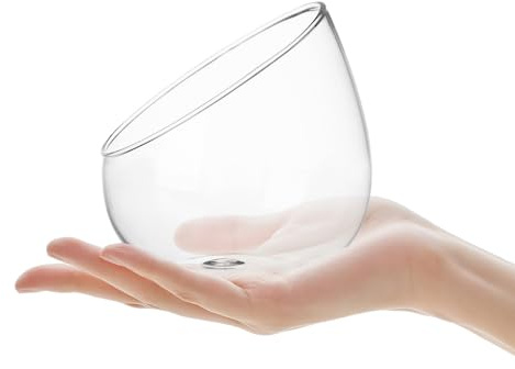 HAPKITCH Terrarium Glass Planter Ecological Bottle Decor, Not Easy to Break Micro Landscape Glass Bottle for Succulents and Moss in Store and Outdoors