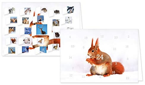 RASW054 - Heimische Tiere im Winter Adventskalender-Doppelkarte - 12,5 x 18,5 cm mit hochwertigem Kuvert