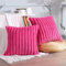 Soleebee 2er Set Plüsch Samt Kissenbezüge, Weiche Künstliche Pelz Dekorativ Kissenbezug Sofa Zierkissenbezüge Dekokissen Kissenhülle Set für Couch Schlafzimmer Zuhause Auto Dekor (40x40cm, Rose Rot)