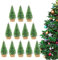 12 Piezas Árbol De Navidad En Miniatura - Árboles De Escarcha De Nieve De Sisal Artificial -ni Árbol De Pino Árboles con Cepillo para Botellas con Base De Madera | Árboles Modelo De Mesa para Manual