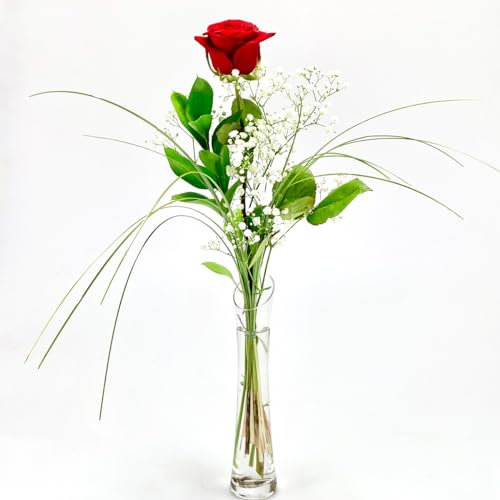 Rote Rose mit Schleierkraut und Gräsern - XXL-Blüte - Inklusive Vase und Grußkarte