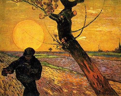 1art1 Vincent Van Gogh Poster Der Sämann Bei Sonnenuntergang Nach Millet II, 1888 Kunstdruck Bild 50x40 cm