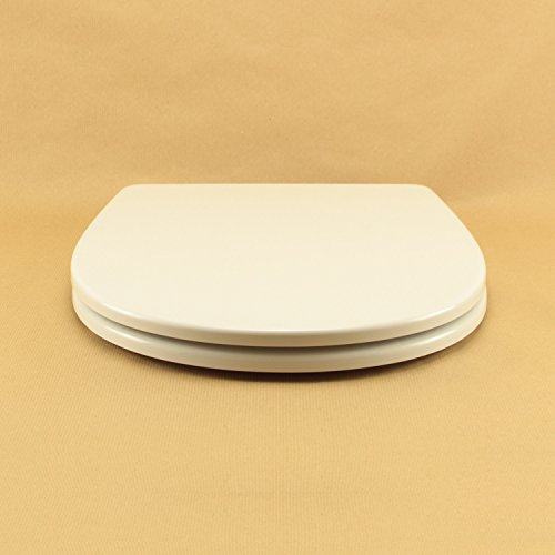 Copriwater per AZZURRA PRATICA TERMOINDURENTE BIANCO cerniera inox normale o rallentata soft close