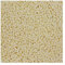 5 g Miyuki Delica Rocailles Seed Beads, 11/0 (1.6 mm) Opaque Light Ivory (Miyuki Delica Rocailles Samenperlen Opaken Elfenbein.)
