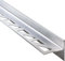 Dalsys 148cm Cale de pente douche 12,5mm droite argent, inox pour praticable