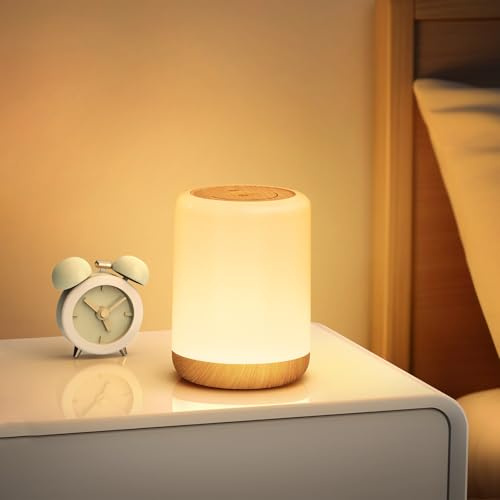 VIWAVE Night Light Bedside Lamps,Rechargeable Battery Touch Lamp Baby Night Light Kids,Portable Nightlight for Adults,Children,Home,Camping