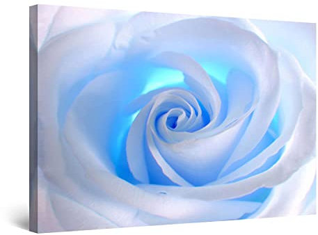 Startonight Quadro su Tela Rosa Bianca, Quadri Moderni Fiori Astratti Stampe Grande per Soggiorno Stampe Incorniciate 80x120 cm, Decorazione Parete, Idea Regalo Elegante Luminoso al Buio