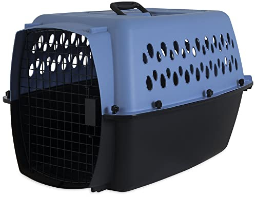 Aspen Pet Pet Porter Kunststoff-Transportbox für Hunde