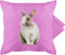 Shirtracer Kissenbezug - Osterkissen - Hasenmotiv Ostern Hase Motiv Hasen I Oster Hase I Osterhase - 50 x 50 cm - Pink - Kissen mit ostergeschenke osterartikel hasi schmusekissen kissenhülle