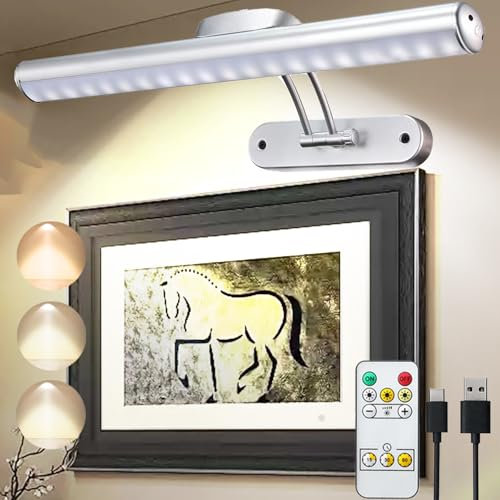 MIOBLUE Bild Licht, batteriebetriebene Bild Lichter für Gemälde mit Fernbedienung, Metall Display Art Licht mit Timer und dimmbar für Wandmalerei, Rahmen, Porträt, Dartboard