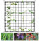 Tiusixsy Red de Enrejado elástico, Red de Tienda de Cultivo, Malla Elástica para Plantas Trepadoras con 4 Gancho, para Verduras,Frutas,Flores(120 x 120 cm) (120 x 120 cm)