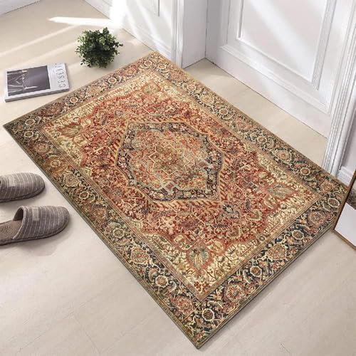 Hafaa Door Mats 80x150 cm Indoor Machine Washable Soft Fluffy Door Mat Dirt Trapper Non-Slip Floor Mats for Kitchen Welcome Front Doormat Inside Outside (Majestic)