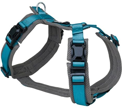 Petlando Hundegeschirr Magnetech Y-Comfort – Innovative Magnetschnalle, atmungsaktiv, mit Mesh gepolstert, stufenlos verstellbar – anthrazit/Petrol S (Halsumfang 34-62cm, Brustumfang 44-60cm)