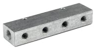 RIEGLER 112526-VT 15504 Verteilerleiste, Abgänge einseitig, Eingang 2x1/8, Ausgang 4xM5, 1Stk