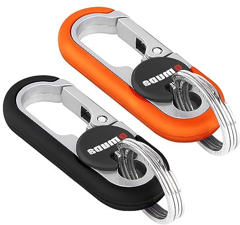 Bakiauli 2 Pieces Keyring Clip, Stainless Steel Keychain Car with 4 Key Ring, Mini Outdoor Key Chain Portable Key Carabiner