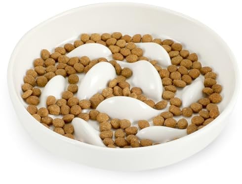 PETTOM Gamelle Anti Glouton Chat Céramique Anti Vomissement, Bol Plat pour Chat Manger Lentement -Blanc
