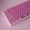 Sumgsn Lot de 114 touches transparentes en cristal rose pour claviers mécaniques Cherry MX 60 %, 65 %, 95 %