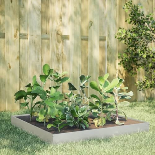 LAPOOH Hochbeet 100x100x25 cm Edelstahl, Palettenrahmen, Hochteich, Gemüsebeet, Kräuterregal Balkon, Blumenbeet, Kräuterspirale, Tomatenbeet, Pflanzhochbeet - 851035
