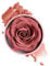 Teksome Blush rose | Blush floral | Rouge pétale de rose 3D pour femmes et filles – Blush léger à construire pour le visage pour les joues