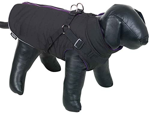 Nobby Hundemantel SOBAK 2 in 1, schwarz-lila, 29 cm, 1 Stück