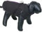 Nobby Hundemantel SOBAK 2 in 1, schwarz-lila, 29 cm, 1 Stück