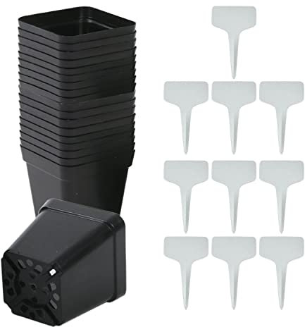 NINVVS 50pcs Square Plant Pots and 10pcs Plant Labels, Plastic Seedling Pots, Gardening Pots, Plant Containers with Drainage Holes for Planting Seedlings, Vegetables and Flowers (Black)
