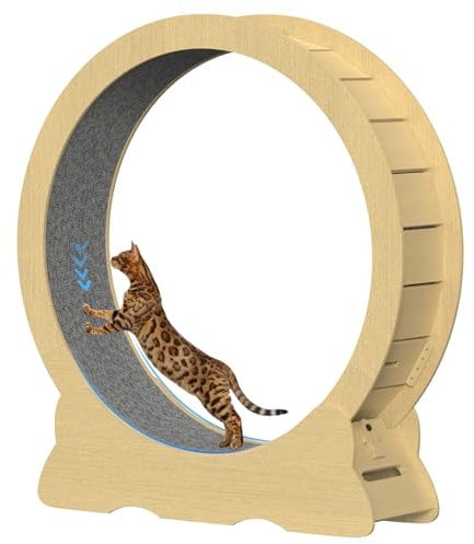 Laufrad, Katzenlaufrad 100cm Innendurchmesser, Super leises Haustier-Spielzeug, Holzlaufrad für Kleine, Mittelgroße und Große Katzen (Holzfarbe, XL)