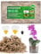 300g Sphagnum Moos für Pflanzen Terrarium Orchideen Torfmoos Terrarienmoos Peat Moss Feuchtigkeitsspendende Ernährung Natürliches TerrarienSubstrat für Orchideen Moos mit Trauermücken Gelbsticker