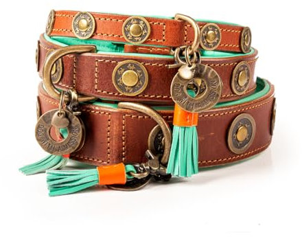 Dog with a Mission - Hundehalsband XS | Braunes Leder, Türkis | Hübsch, Boho, Ethno, Urban, Hippie | Kleine Hunde | Handgemacht | Modisch und Bunt | Aus weichem Echtes Leder | Luxe | 2 cm Breit