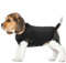 FUAMEY Hunde-Fleece-Weste, warmes Sweatshirt, Welpen, dehnbarer Pullover, Hunde-Rollkragenmantel, Hunde-Winterjacke mit Leinenloch, Hunde-Dackel-Pullover, Yorkie-Kleidung für kleine, schwarz, XXS