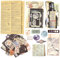 Meetory 317 Stück Journaling Zubehör, Astronomie Vintage Aufkleber, Scrapbook Sticker, Washi Papier Sticker Set, Vintage Scrapbooking Papier für Craft Scrapbook Album Journal
