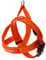 EzyDog 5708214206052 Quick Fit Geschirr Blaze, M, orange