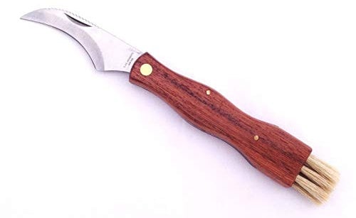 Pilzmesser, Klappmesser