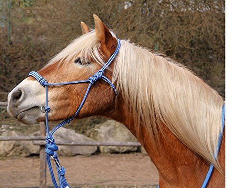 BeGentle Knotenhalfter Blau – Weiches, anschmiegsames Material – zweifarbige Optik – für Bodenarbeit & gebissloses Reiten – Größe Kaltblut