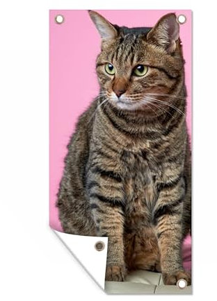 Outdoor-Poster Poster Wanddeko draußen Deko Garten Gartenposter 30x60 cm Katze - Rosa - Pouf - Mädchen - Kinder - Kinder