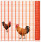 Yakimz Schutznetz aus Kunststoff 1m x 50m, Orange, Absperrzaun Bauzaun Warnnetz Auffangnetz Fangnetz Wildzaun Fangzaun Warnzaun, Zaun Netz Baustellnetz Waldzaun Sicherheitsnetz