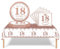 37Pcs 18th Birthday Tableware Set Rose and Gold,18th Birthday Decorations with Party Paper Plates and Napkins,Plastic Table Cloth for Her girls Happybirthday Table Decoration Dinnerware Supplies