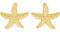 Kabwea 18K Gold Seestern Muschel Ohrringe, Ohrringe, Ohrringe Gold, Earrings, Goldene Ohrringe Damen, Ohringe, Gold Ohrringe Damen, Schmuck Gold, Goldene Ohrringe