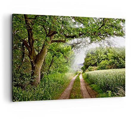 Wandbilder Dekoration Wohnzimmer Pfad Natur Wald Grün Bilder auf Leinwand 120x80cm Leinwandbild Schlafzimmer Küche Deko Wand Kunstdruck Art Groß XXL Wanddeko Bild Wall Decor Canvas AA120x80-2637