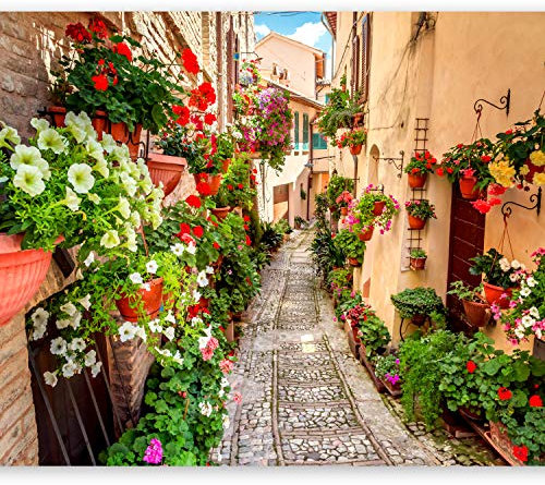 Fototapete murando 100x70 cm Vlies Tapeten Wandtapete XXL Moderne Wanddeko Design Wand Dekoration Wohnzimmer Schlafzimmer Büro Flur Italien Toskana Gasse Stadt Blumen d-B-0181-a-a