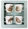 Portmeirion Royal Worcester MMV3969-XG Tassen-Set, Sommer, 4 Stück, 0,31 l, Porzellan, Tasse, Kaffeetasse, Zuhause, Alle Gelegenheiten