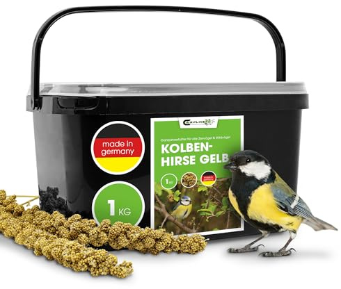 Kolbenhirse gelb 1 Kg - Ganzjähriges Vogelfutter - Für Ziervögel & Wildvögel
