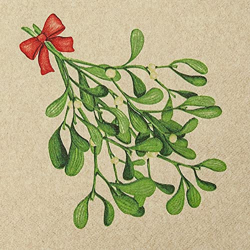 20 Servietten Eco Line nachhaltig aus 100% Recycling-Papier grüner Mistelzweig | Weihnachten | Winter | Natur | Tischdeko 33x33cm