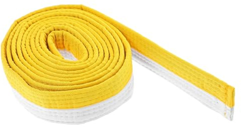 ERINGOGO Ceinture Taekwondo et Judo Blanche et Jaune Équipement Entraînement Arts Martiaux Souple et Confortable pour Karaté Tai Chi Classement et Cours